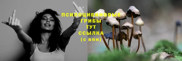 СК Верея