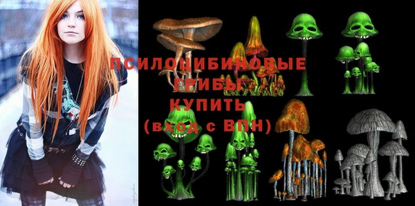 СК Верея